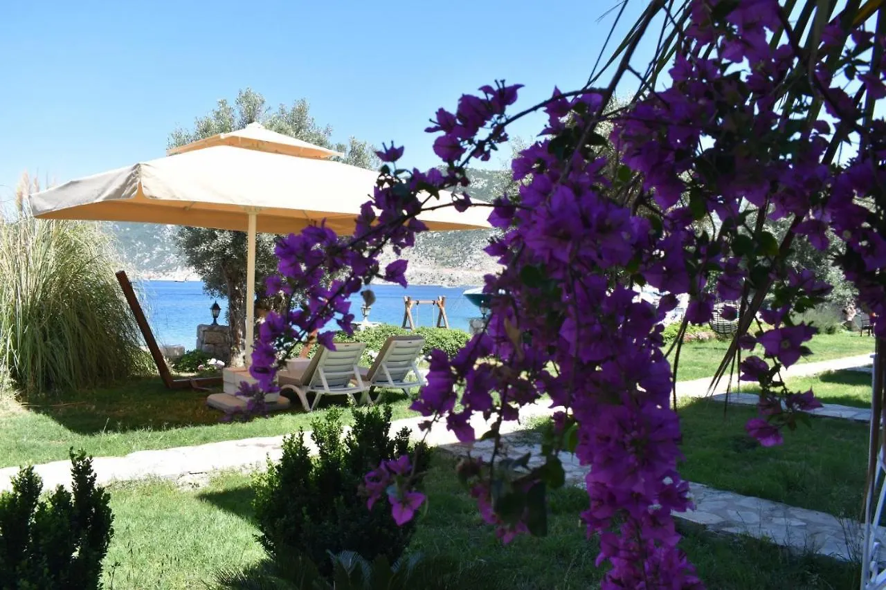 ****  Fiska Butik Hotel Селемие Турция